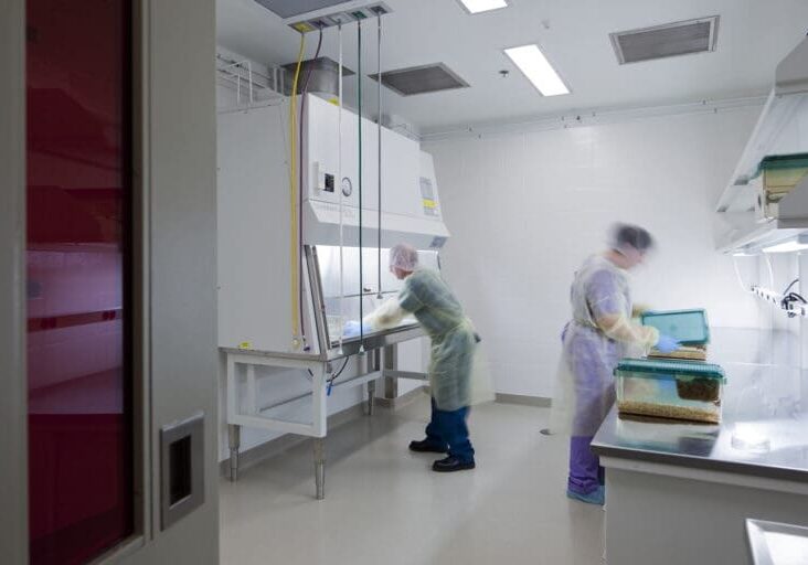 UofL Clinical & Translational Research Building - Final (38)